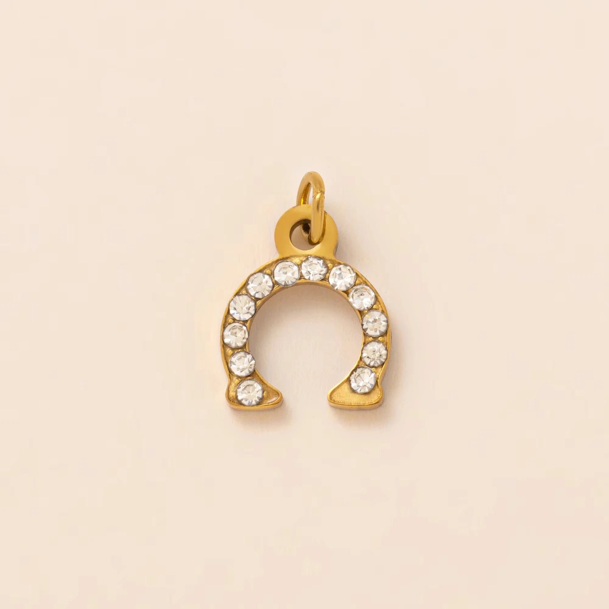 【DIY Pendant】Stainless Steel Lucky & Floral Charm Pendant - PS026