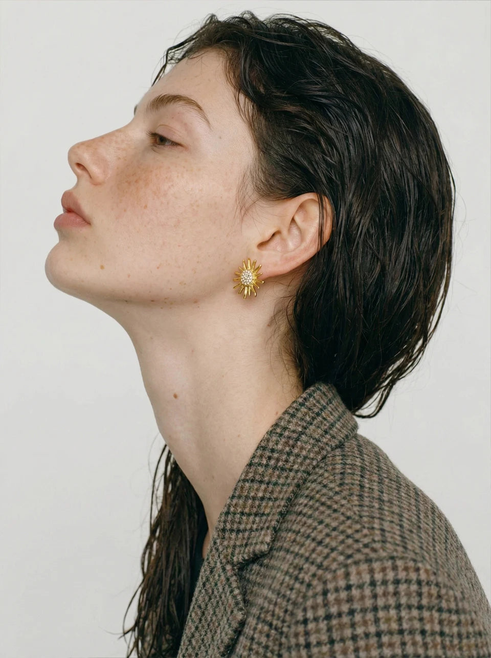 Cubic Zirconia Sun Geometric Earrings — Gold-Plated Stainless Steel with Cubic Zirconia · PS928