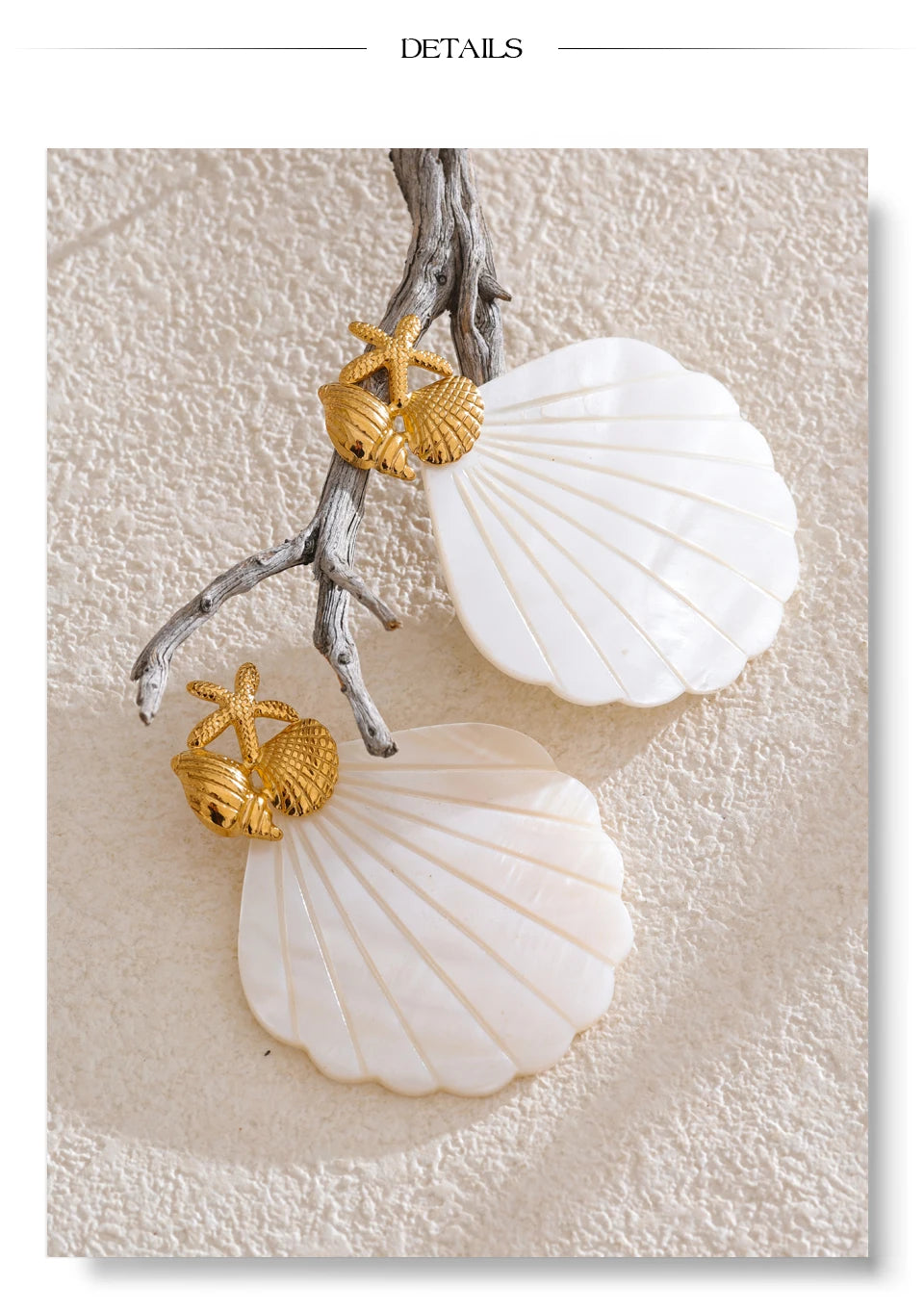 Shell star geometric earrings in gold-plated stainless steel with shell.