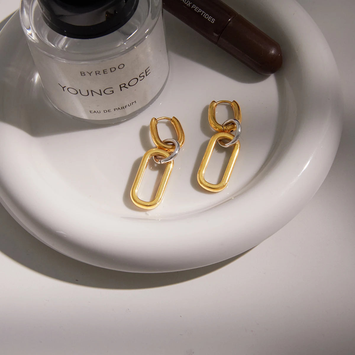 Paperclip Chain Drop Earrings — Stainless Steel · PS116