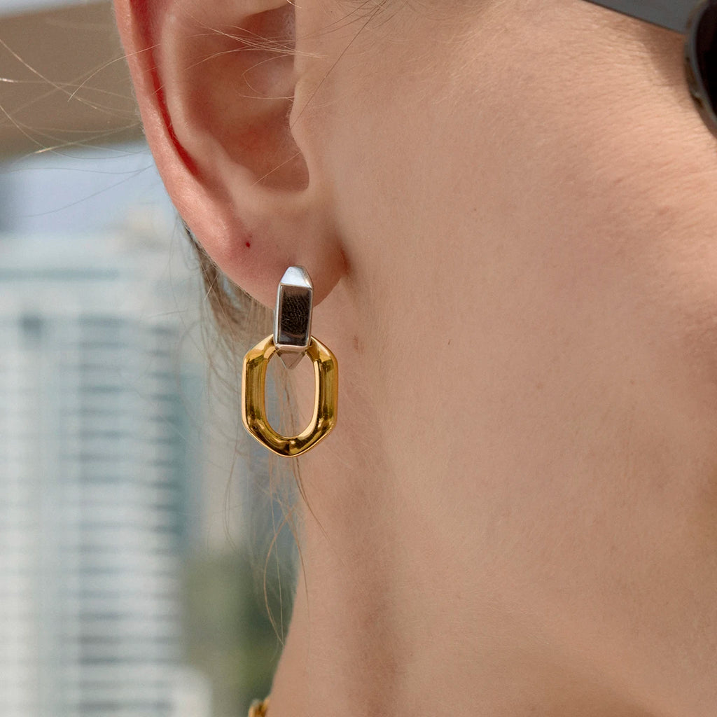 Two-Tone Pet Geometric Earrings — Stainless Steel · PS369