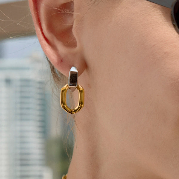Two-Tone Pet Geometric Earrings — Stainless Steel · PS369