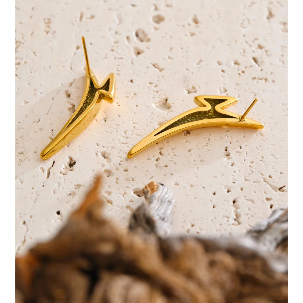 Geometric earrings in gold-plated stainless steel.