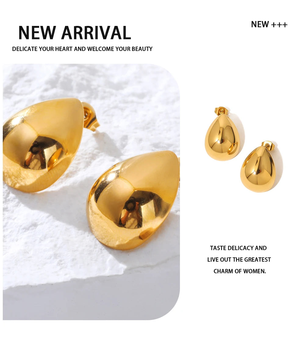Drop Earrings Glossy — 316L Stainless Steel · PS448