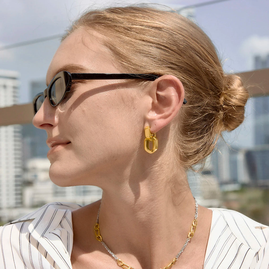 Two-Tone Pet Geometric Earrings — Stainless Steel · PS369