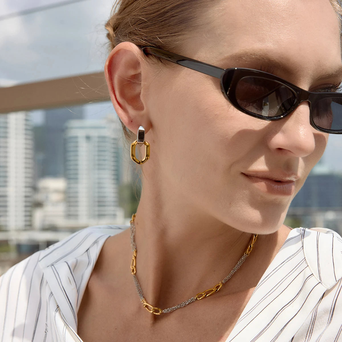 Two-Tone Pet Geometric Earrings — Stainless Steel · PS369