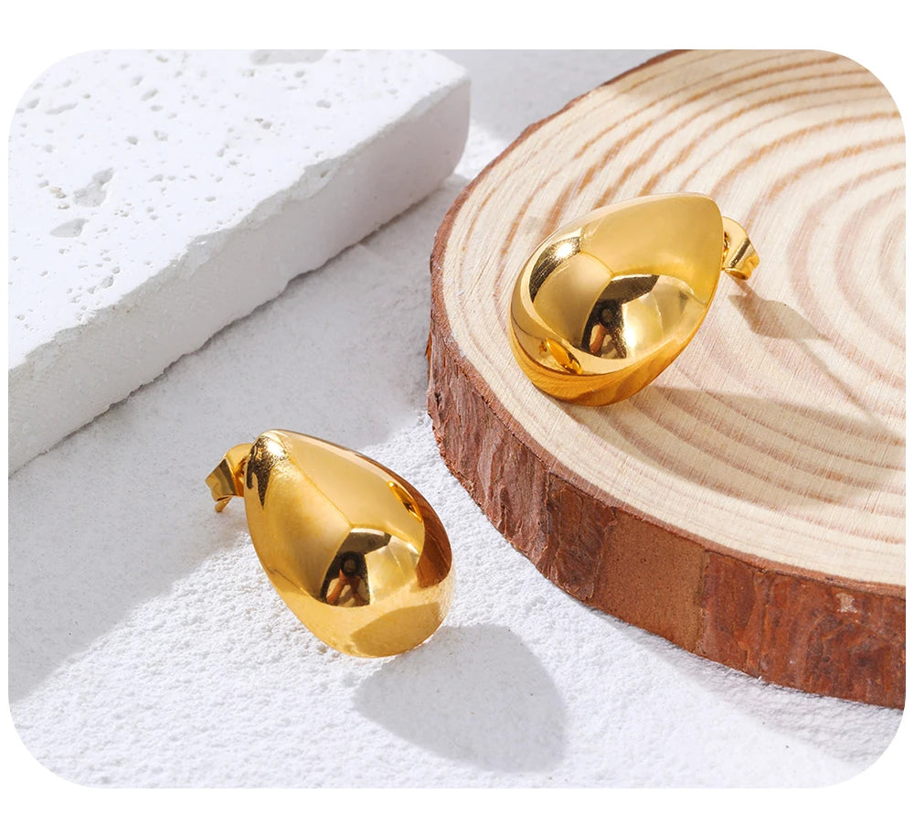 Drop Earrings Glossy — 316L Stainless Steel · PS448