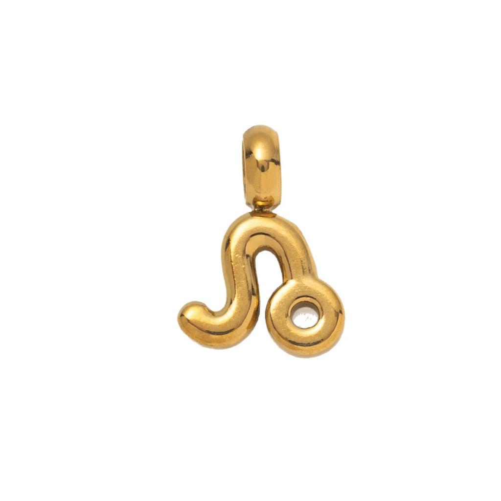 【DIY Pendant】Stainless Steel Zodiac Charm Pendant - PS020