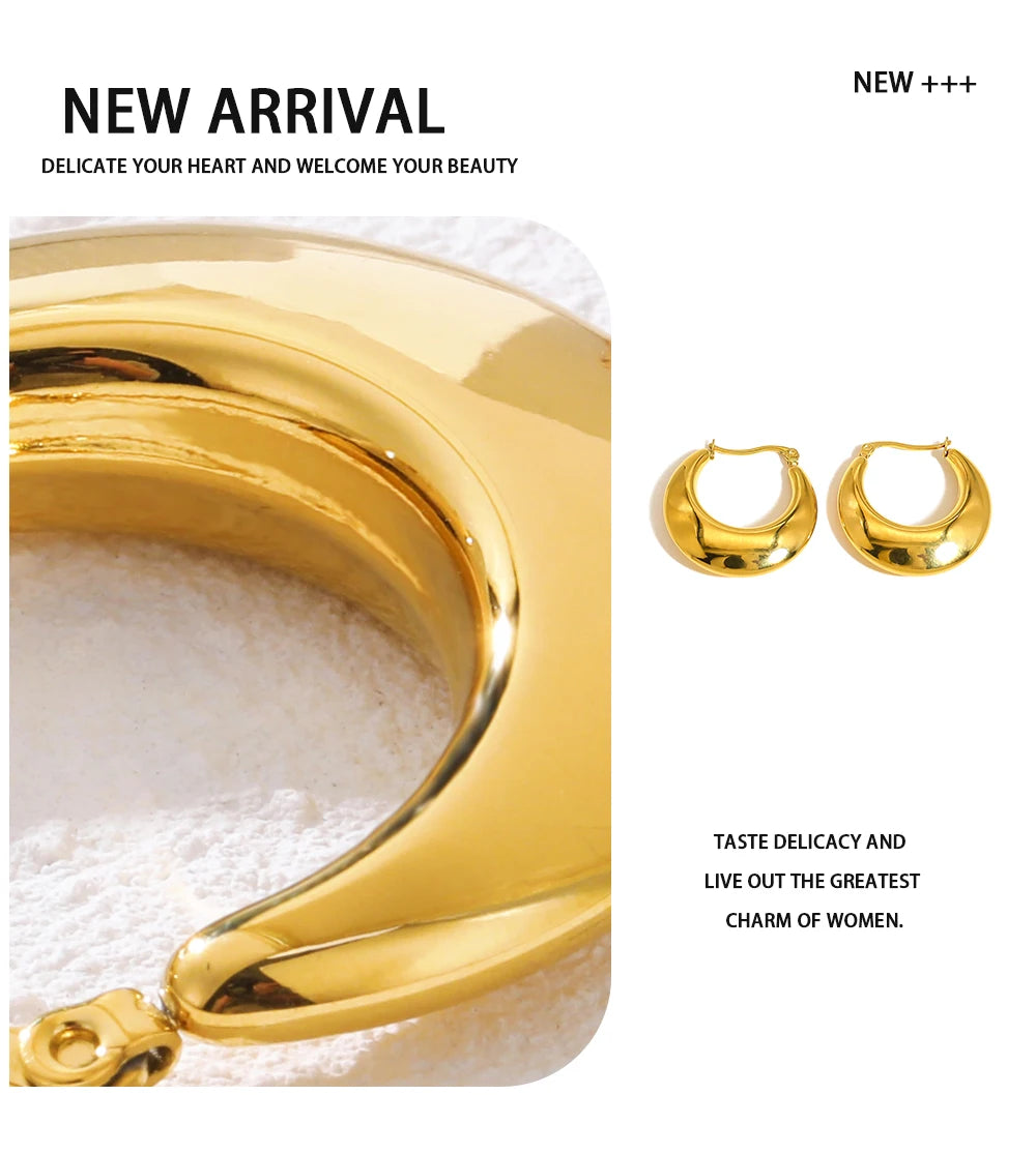 Hoop Earrings Chunky Glossy Metallic — 316L Stainless Steel · PS415