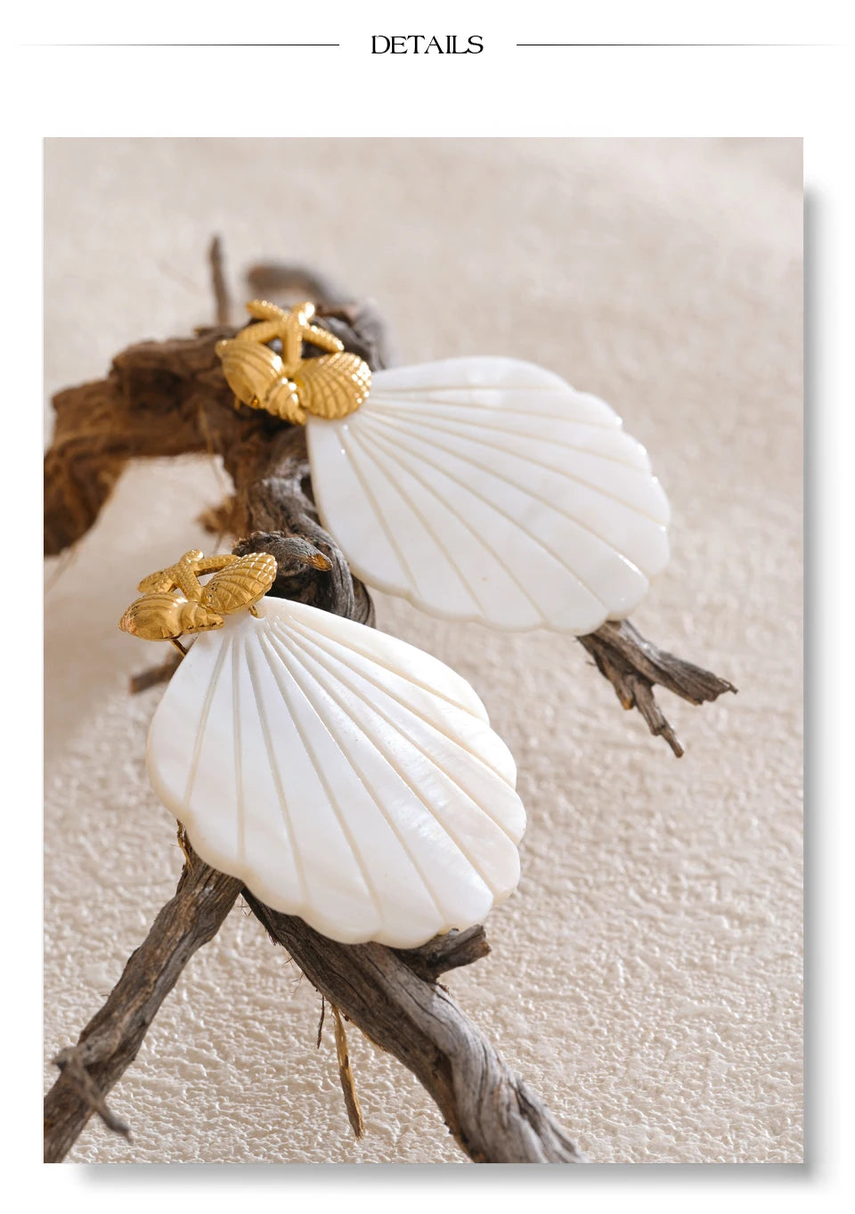 Shell star geometric earrings in gold-plated stainless steel with shell.
